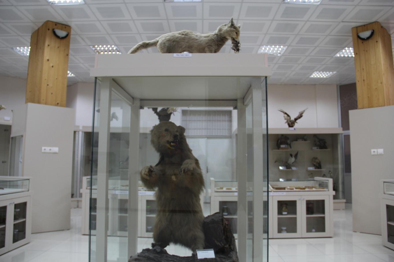 DÜ’de Zooloji Müzesi açıldı